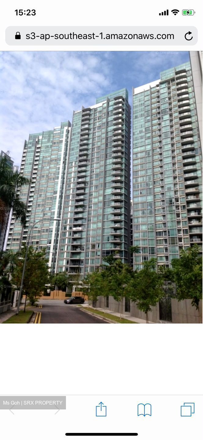Park Infinia At Wee Nam (D11), Condominium #581781341